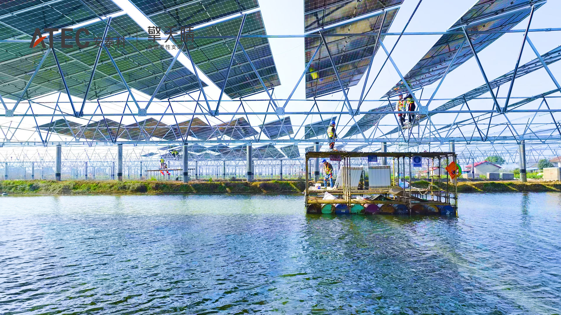 序列 01.00_00_35_19.Still011.00_00_42_17.Still062.jpg