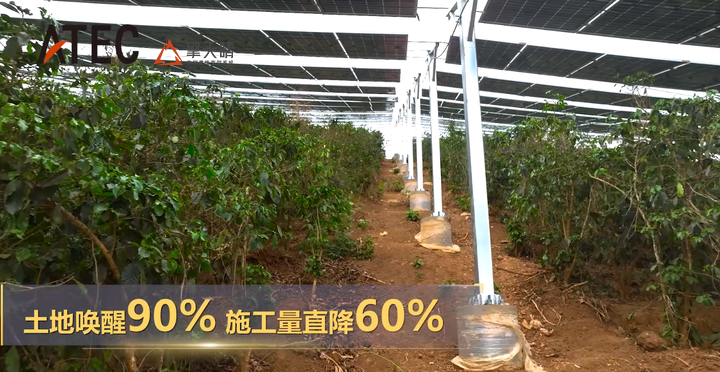 撒永山光伏传奇：《人民日报》头条点赞的高原光伏答案——擎天晴索网柔性支架林光系列(图8)