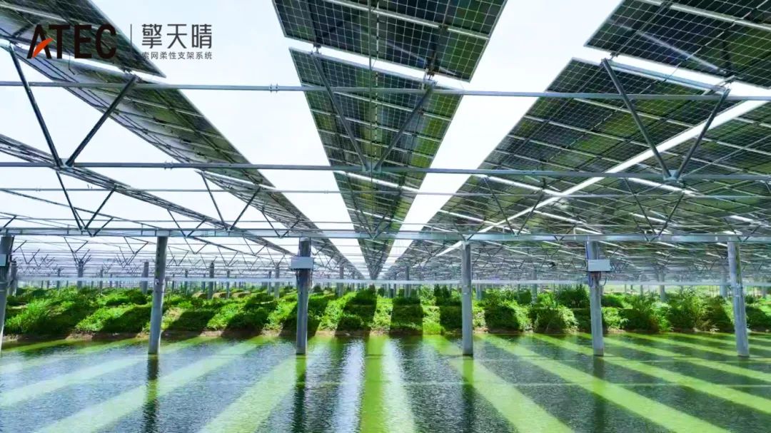 "碳谷小镇"渔光互补：看柔性支架如何用"天空农场"改写产业规则(图8)