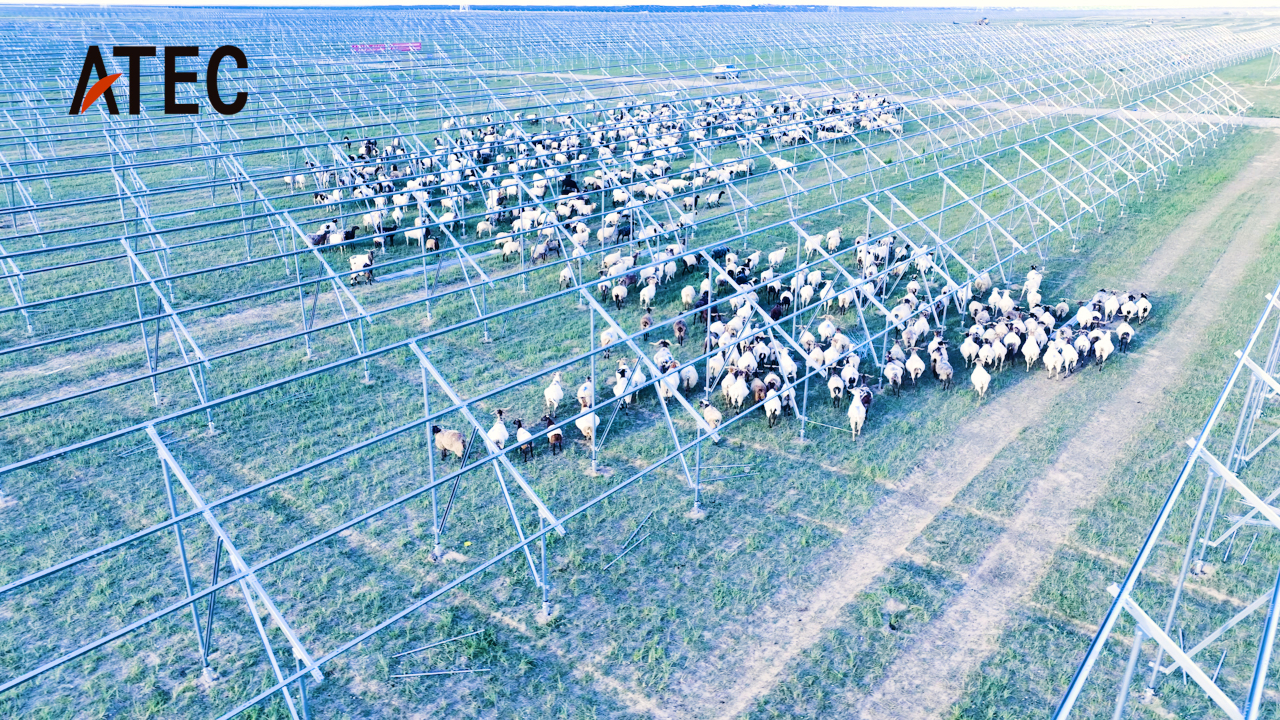 高原坚守者：以专业力量铸就“光的承诺” (图23)