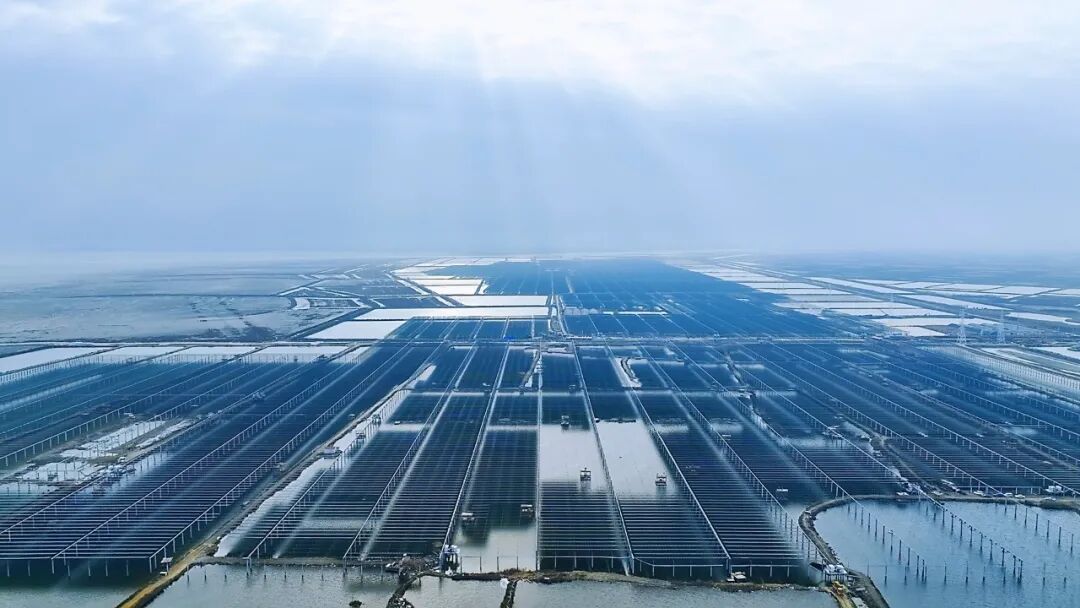 实力领航丨深圳安泰科再摘2025“光能杯”最具影响力光伏支架企业桂冠！(图5)